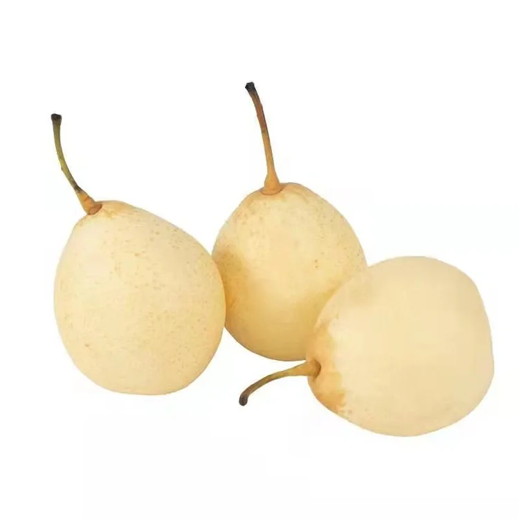 ਤਾਜ਼ੀ ਕਟਾਈ ਯਾ ਨਾਸ਼ਪਾਤੀ