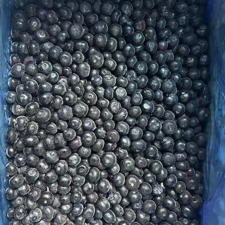 ਜੰਮੇ ਹੋਏ ਬਲੂਬੇਰੀ ਪ੍ਰੀਮੀਅਮ IQF ਬਲੂਬੇਰੀ