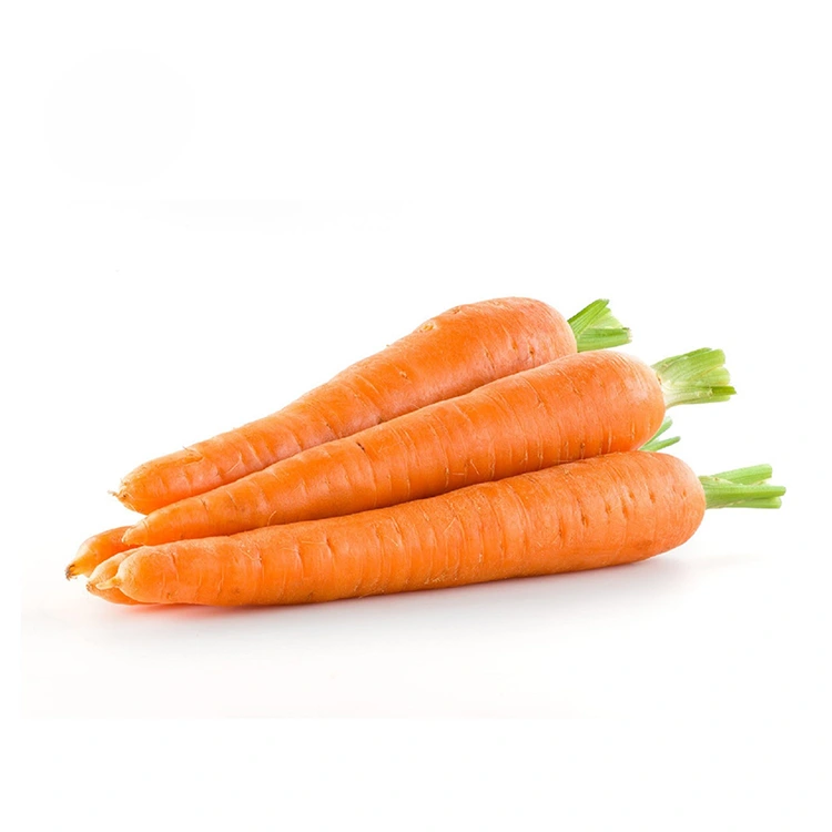 ਹੱਥ-ਚੁਣੇ ਤਾਜ਼ੇ ਗਾਜਰ