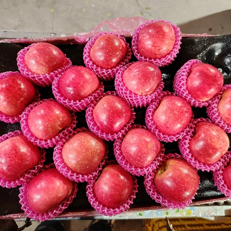 ਸੁਪੀਰੀਅਰ ਤਾਜ਼ੇ ਜਿਗੁਆਨ ਸੇਬ